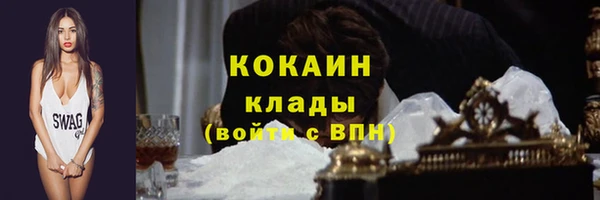 тгк Алзамай
