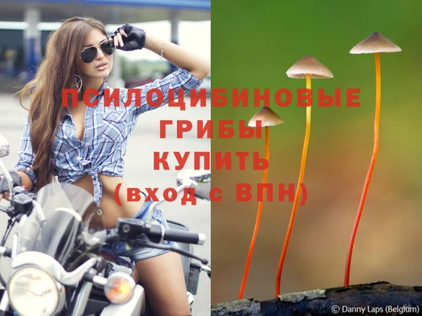 тгк Алзамай