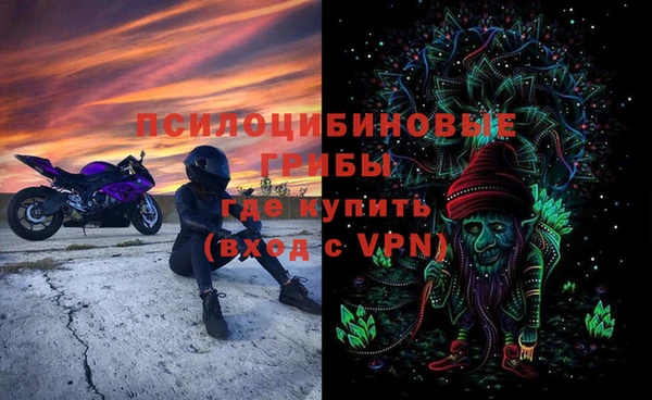 тгк Алзамай