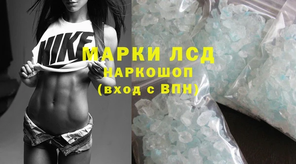 тгк Алзамай