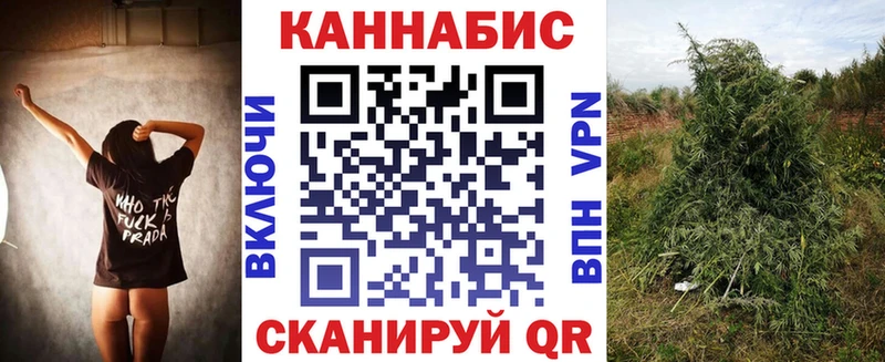 Канабис планчик  Купить  Тулун 